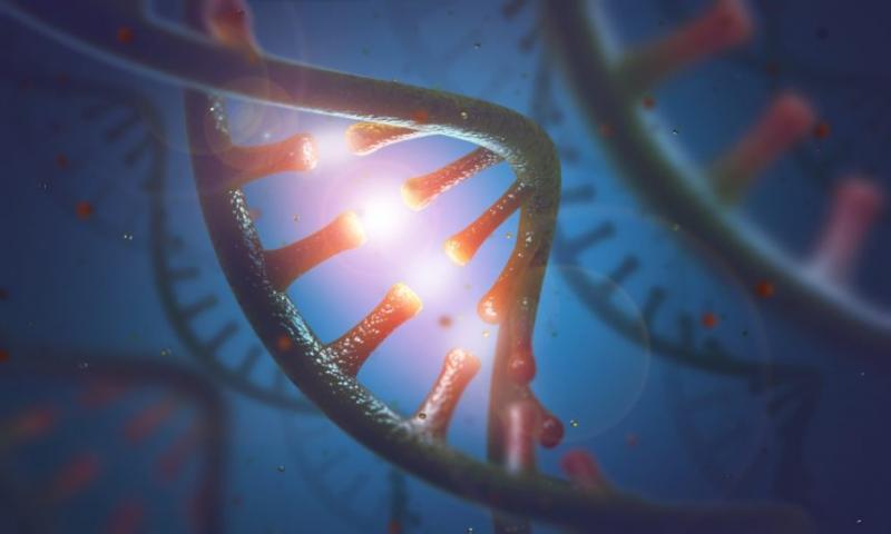 miRNA-Sequencing-and-Assay