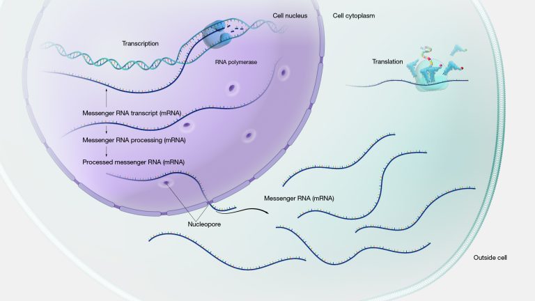 Gene-expression