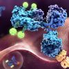 antibody-drug-conjugates-a-groundbreaking-solution-to-cancer