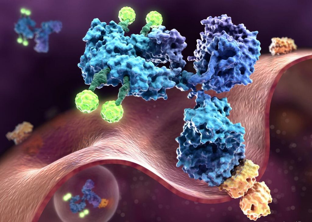 antibody-drug-conjugates-a-groundbreaking-solution-to-cancer