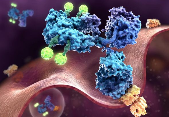 antibody-drug-conjugates-a-groundbreaking-solution-to-cancer